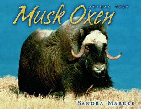 Library Binding Musk Oxen Book