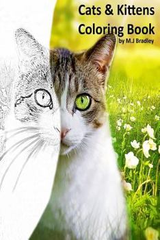 Paperback Cats & Kittens: Coloring Book