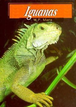 Hardcover Iguanas Book