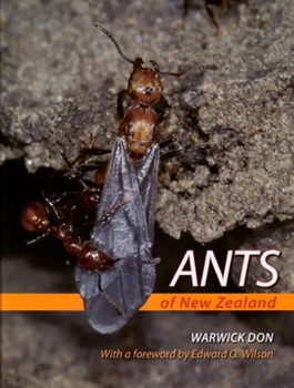 Hardcover Ants of New Zealand Book