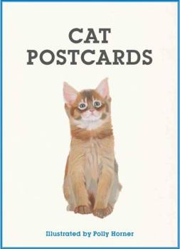 Card Book Cat Postcards Book