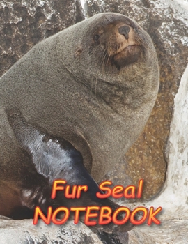 Paperback Fur Seal NOTEBOOK: Notebooks and Journals 110 pages (8.5"x11") Book
