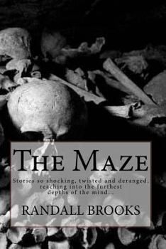 Paperback The Maze Book