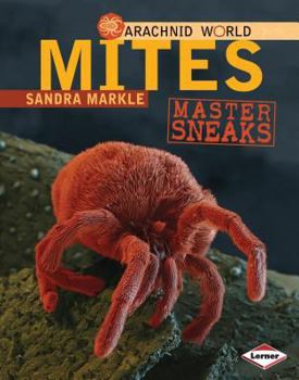 Library Binding Mites: Master Sneaks Book