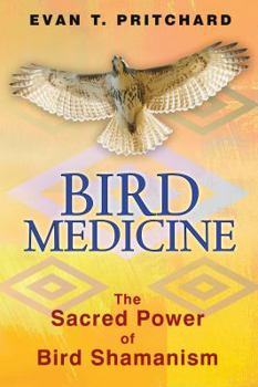 Paperback Bird Medicine: The Sacred Power of Bird Shamanism Book