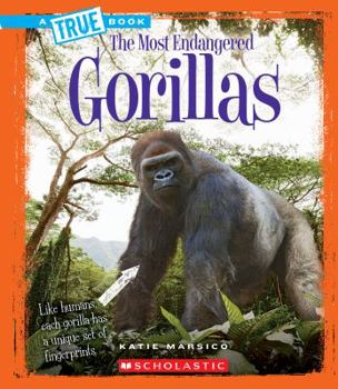 Hardcover Gorillas (True Book: Most Endangered) (Library Edition) Book
