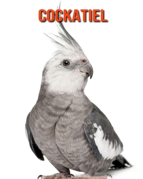 Cockatiel: Amazing Facts & Pictures