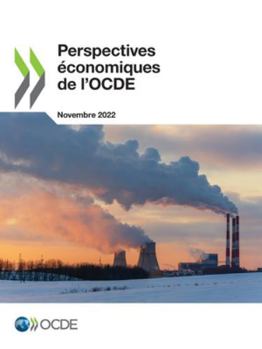 Paperback Perspectives économiques de l'OCDE, Volume 2022 Numéro 2 [French] Book