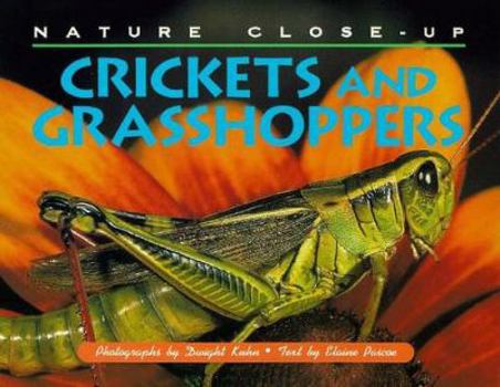 Hardcover Nature Close Up: Crickets & Grasshoppers Book