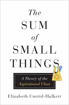 Hardcover The Sum of Small Things: A Theory of the Aspirational Class Book