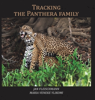 Hardcover Tracking the Panthera family Book