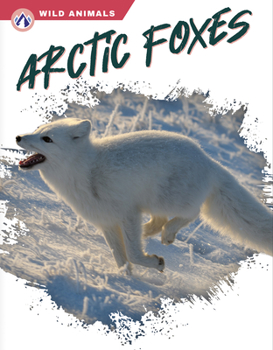 Paperback Arctic Foxes Book