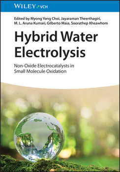 Hardcover Hybrid Water Electrolysis: Non-Oxide Electrocatalysts in Small Molecule Oxidation Book