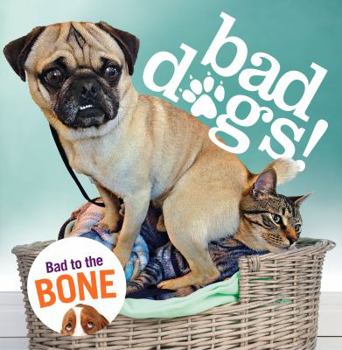 Hardcover Bad Dogs Book