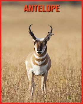 Paperback Antelope: Amazing Photos & Fun Facts Book About Antelope For Kids Book