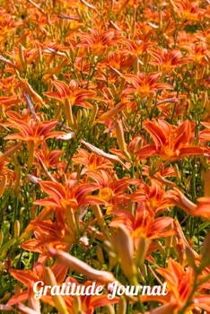 Paperback Gratitude Journal: Daylillies A notebook to record all of the things you are grateful for, 6 x 9 100 pages Book