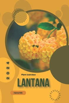 Lantana: Simply beginners guide