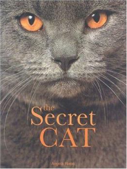 Paperback The Secret Cat Book