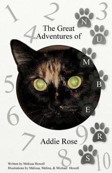 Paperback The Great Adventures of Addie Rose Numbers: Numbers Book