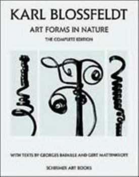 Hardcover Karl Blossfeldt: Art Forms in Nature Book