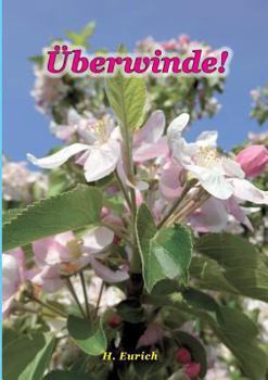 Paperback Überwinde [German] Book