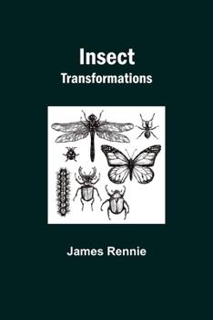 Paperback Insect Transformations Book