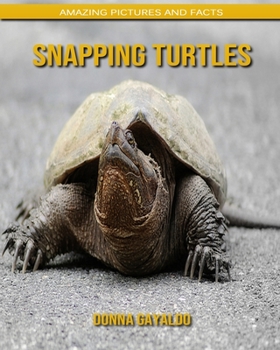 Snapping Turtles: Amazing Pictures and Facts