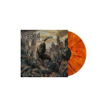 Vinyl Gravitas Maximus Book