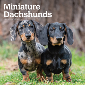 Calendar Dachshunds, Miniature 2024 Square Book