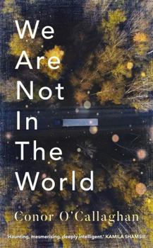 Paperback We Are Not in the World: ‘compelling and profoundly moving’ Irish Times Book