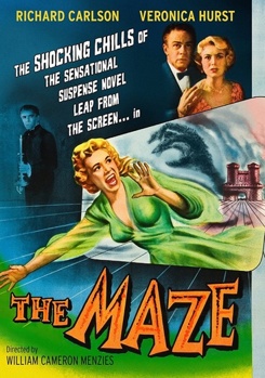 DVD The Maze Book