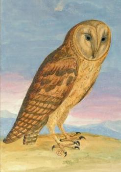 Carnet Ligna(c), Chouette Hulotte