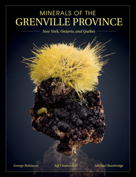 Paperback Minerals of the Grenville Province: New York, Ontario, and Québec Book