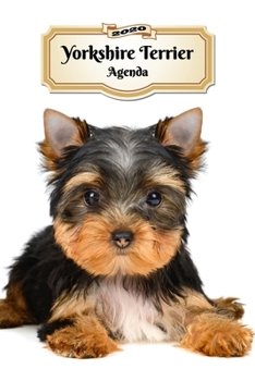 2020 Yorkshire Terrier Agenda: 107 Pagine | Dimensioni DIN A5 | Pianificatore Settimanale | 12 Mesi | Due Pagine Per Settimana | Calendario | Diario | Cane (Italian Edition)