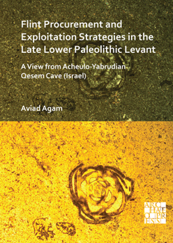 Paperback Flint Procurement and Exploitation Strategies in the Late Lower Paleolithic Levant: A View from Acheulo-Yabrudian Qesem Cave (Israel) Book