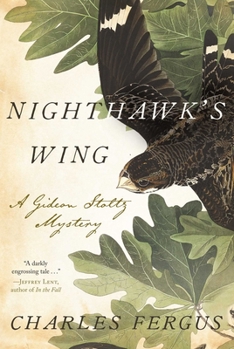 Hardcover Nighthawk's Wing: A Gideon Stoltz Mystery Book