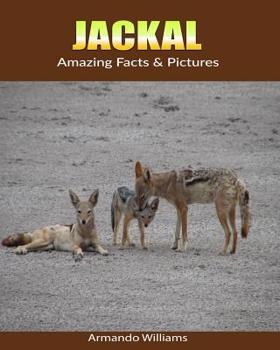 Paperback Jackal: Amazing Facts & Pictures Book
