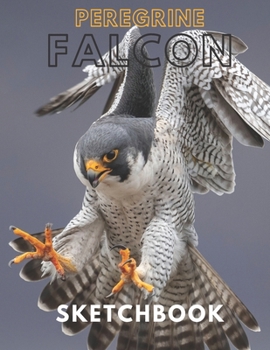 Peregrine falcon Sketchbook Large sketchbook for drawing 8.5 x 11 inch (21.59 x 27.94 cm) 150 pages: Peregrine falcon blank Journal & blank notebook,