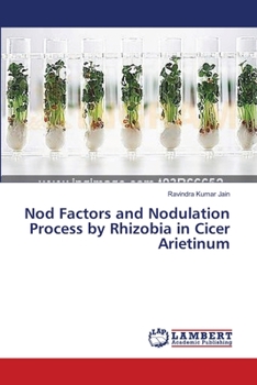 Paperback Nod Factors and Nodulation Process by Rhizobia in Cicer Arietinum Book