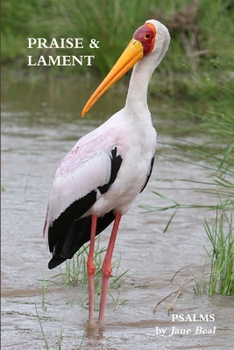 Praise & Lament: Psalms for the God of Birds