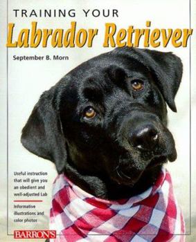 Paperback Training Your Labrador Retriever Book