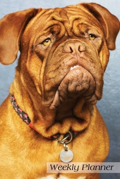 Weekly Planner: Daily Planner Agenda Scheduler Organizer 6x9 52 weeks