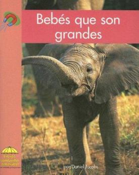 Bebés que son Grandes / Big Babies - Book  of the Yellow Umbrella Books: Science ~ Spanish