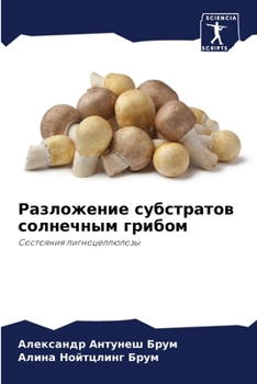 Paperback Разложение субстратов с& [Russian] Book