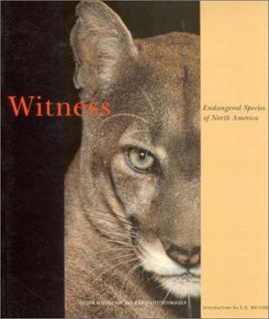 Paperback Witness: Endangered Species of North America Book