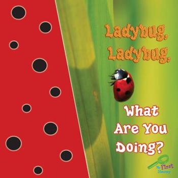 Board book Ladybug, Ladybug, What Are You Doing? Book