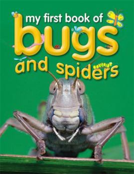 Paperback My First Book of Bugs & Spiders Book