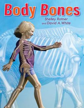 Hardcover Body Bones Book