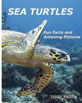 Paperback Sea Turtles: : Fun Facts and Amazing Pictures Book