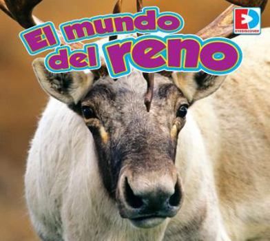 A Reindeer's World